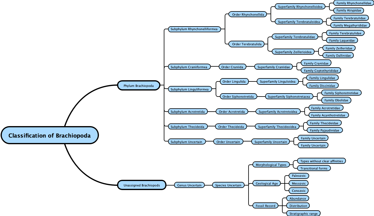 Classification of Brachiopoda