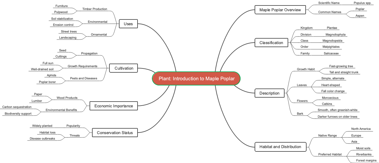 Plant: Introduction to Maple Poplar