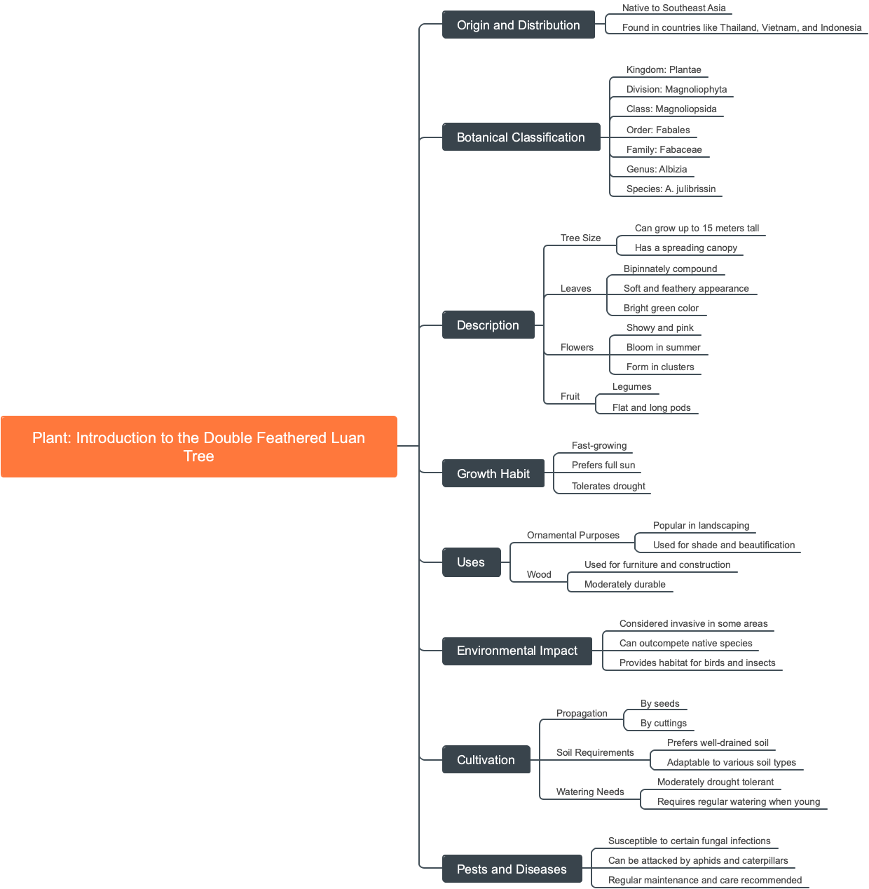 Plant: Introduction to the Double Feathered Luan Tree
