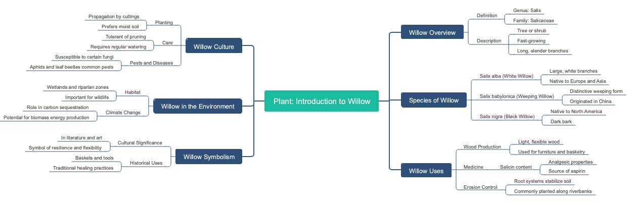 Plant: Introduction to Willow
