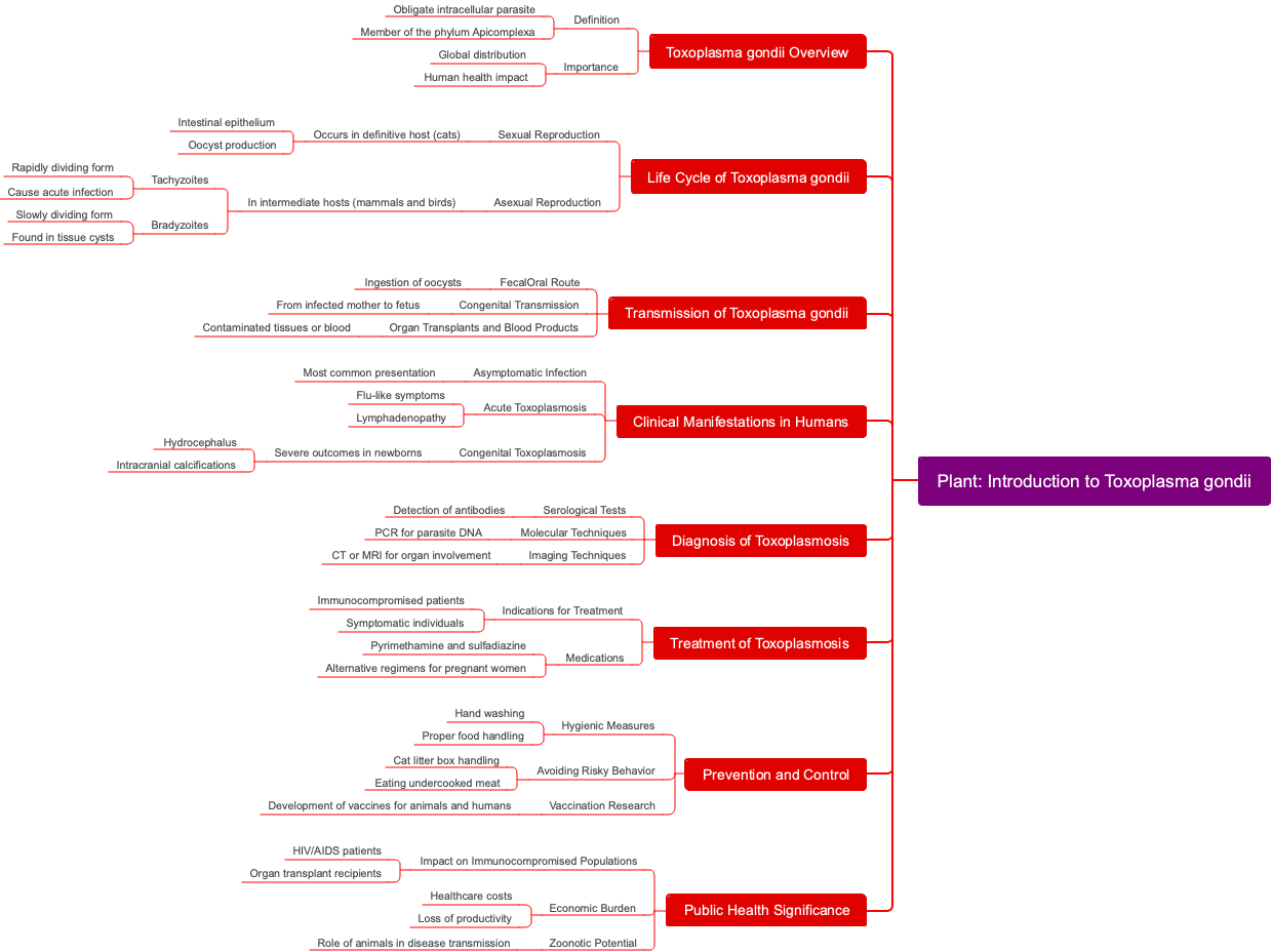 Plant: Introduction to Toxoplasma gondii