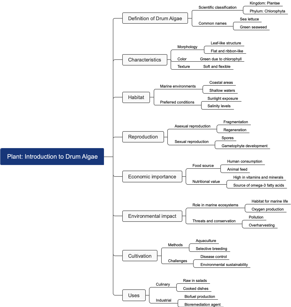 Plant: Introduction to Drum Algae