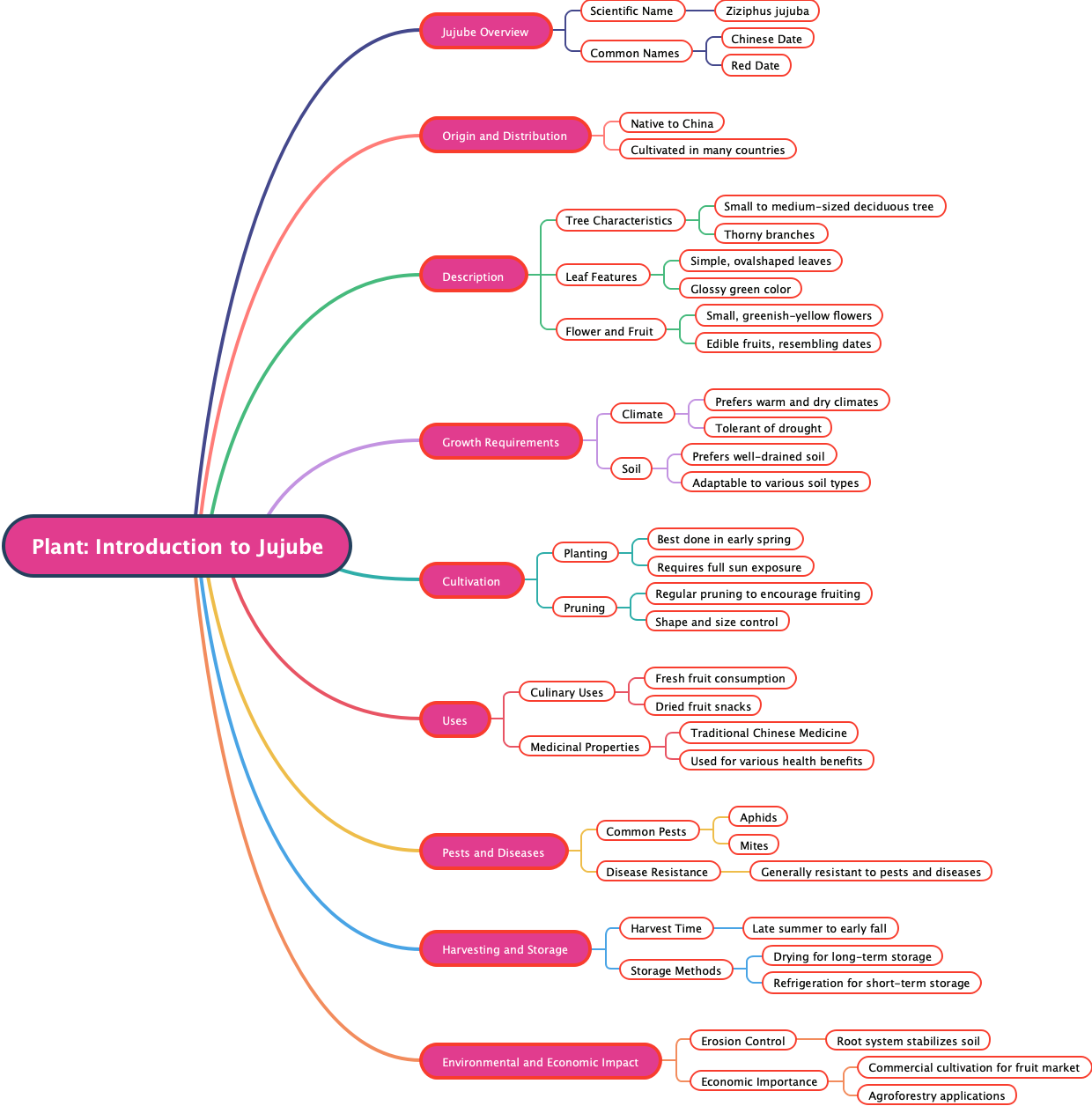 Plant: Introduction to Jujube