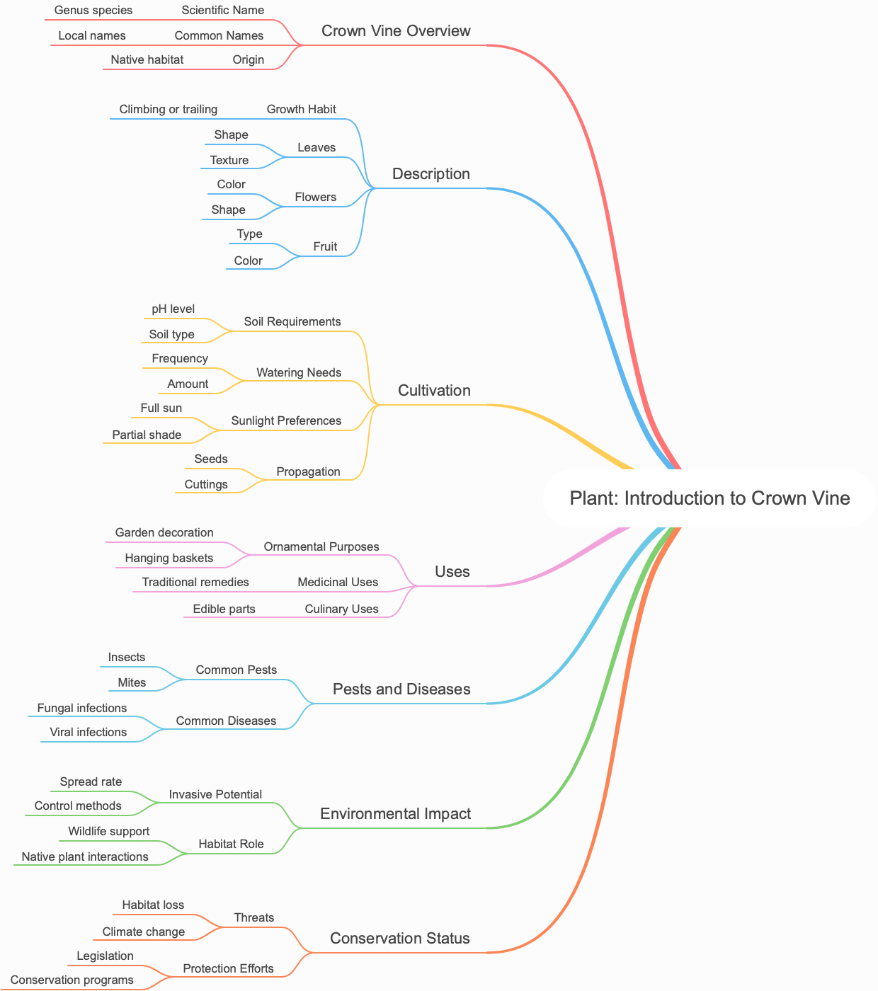 Plant: Introduction to Crown Vine