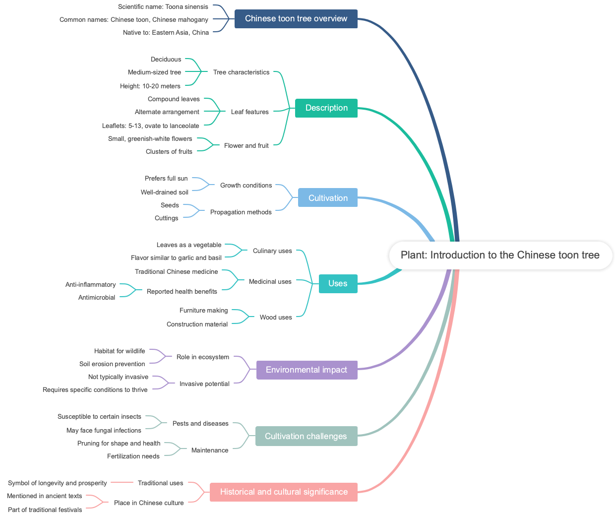 Plant: Introduction to the Chinese toon tree