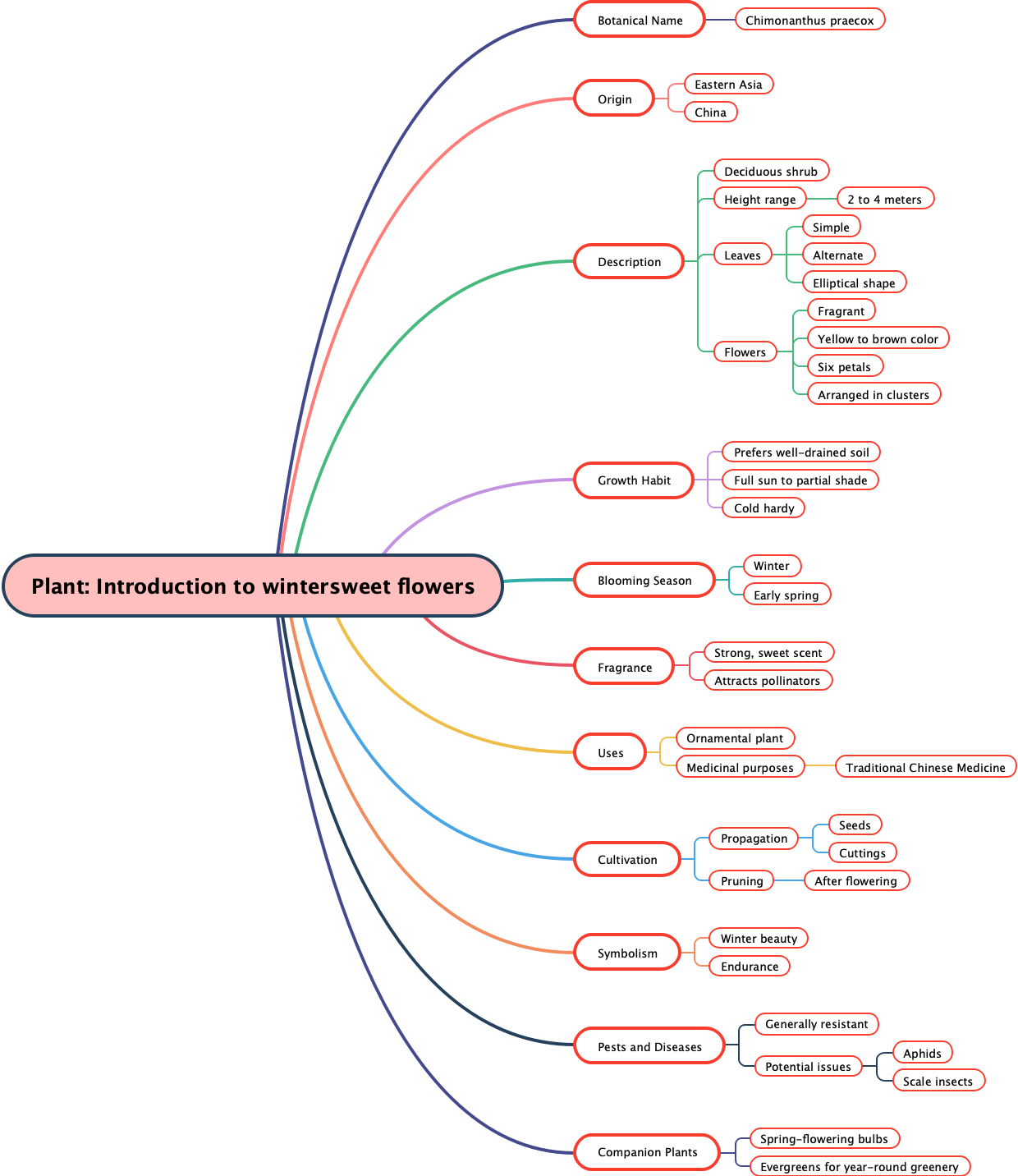 Plant: Introduction to wintersweet flowers
