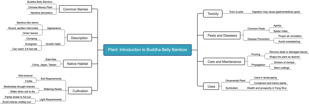 Plant: Introduction to Buddha Belly Bamboo
