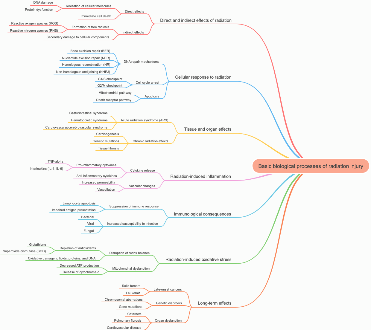 Basic biological processes of radiation injury