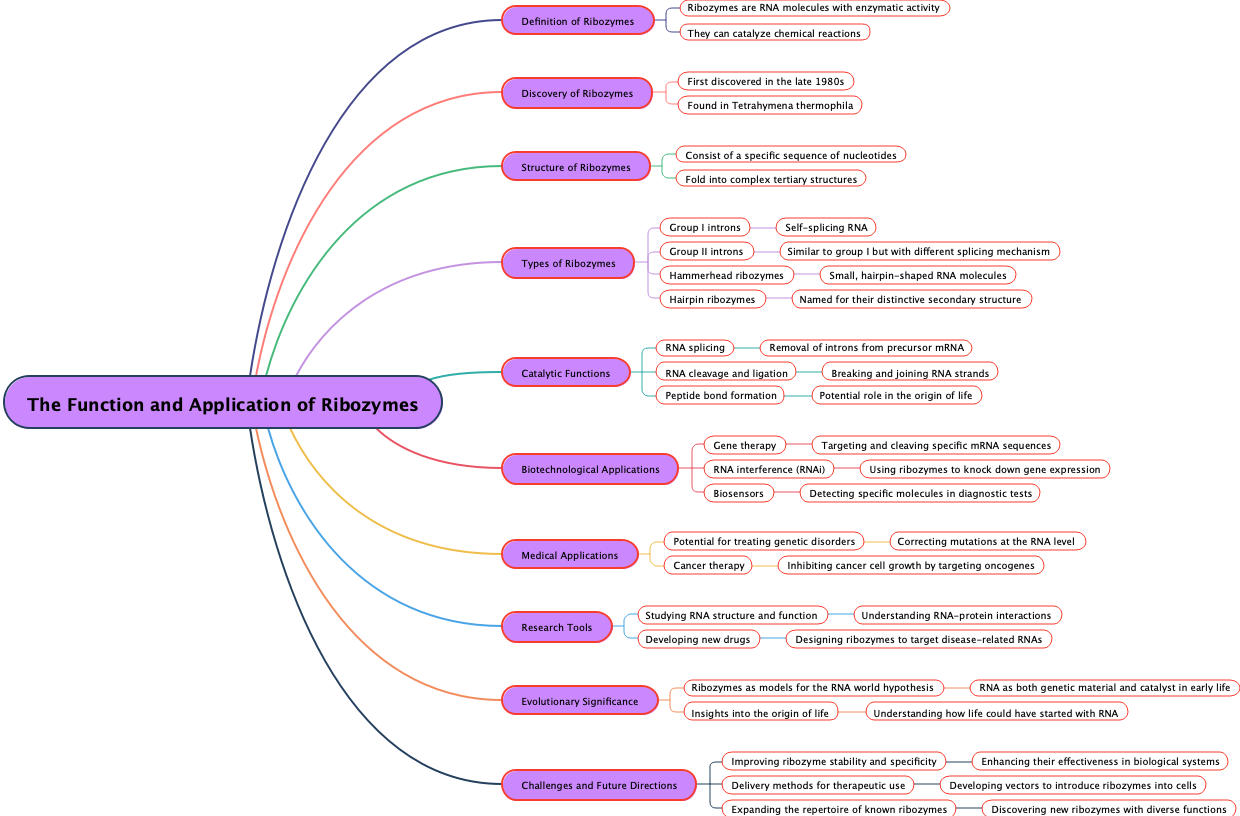 The Function and Application of Ribozymes