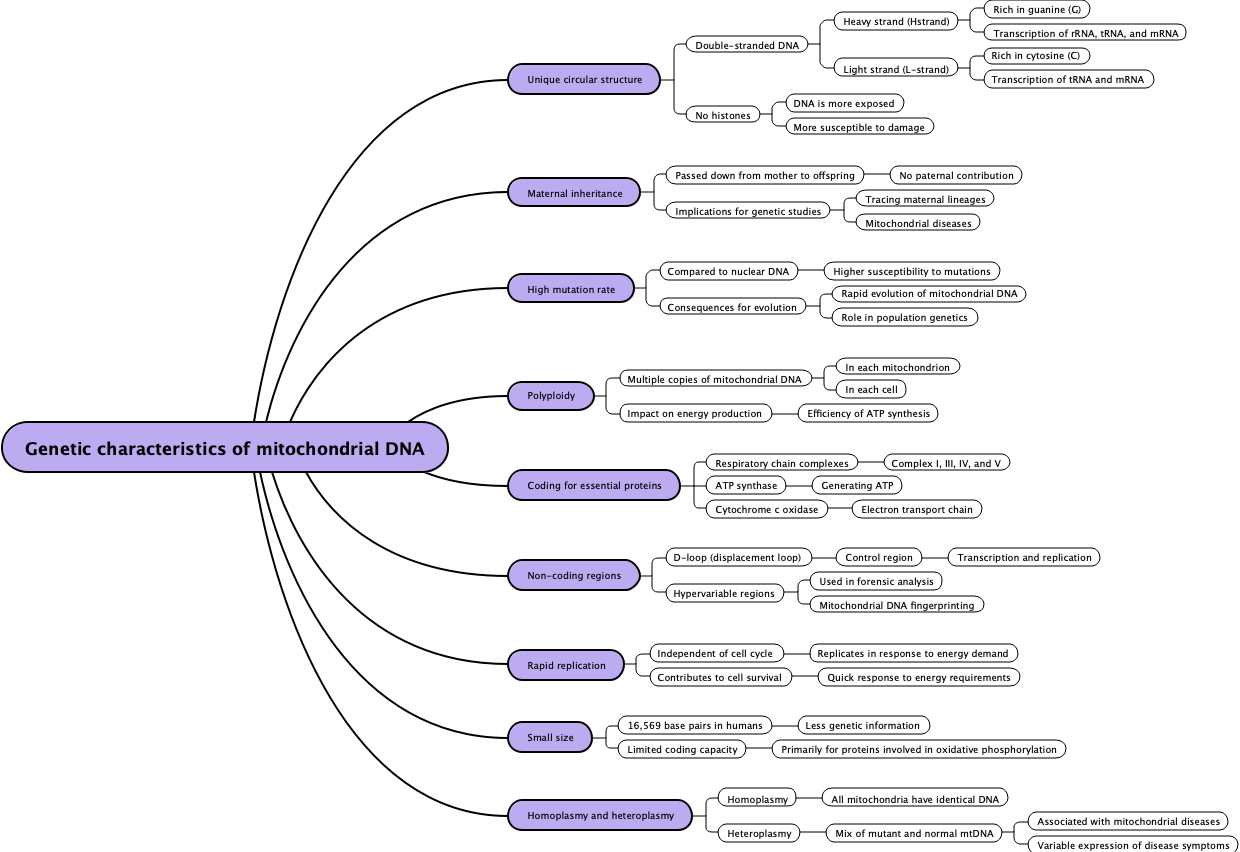 Genetic characteristics of mitochondrial DNA