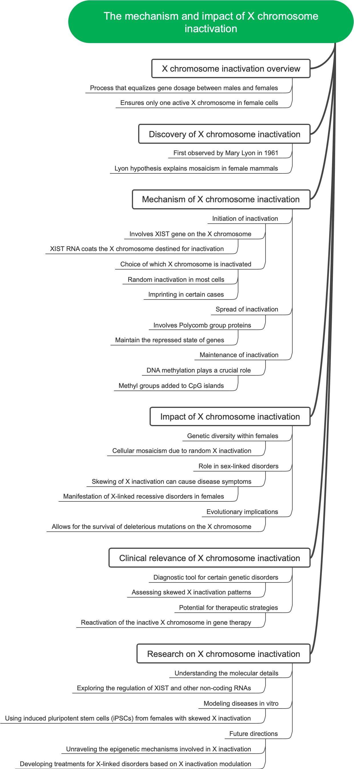 The mechanism and impact of X chromosome inactivation