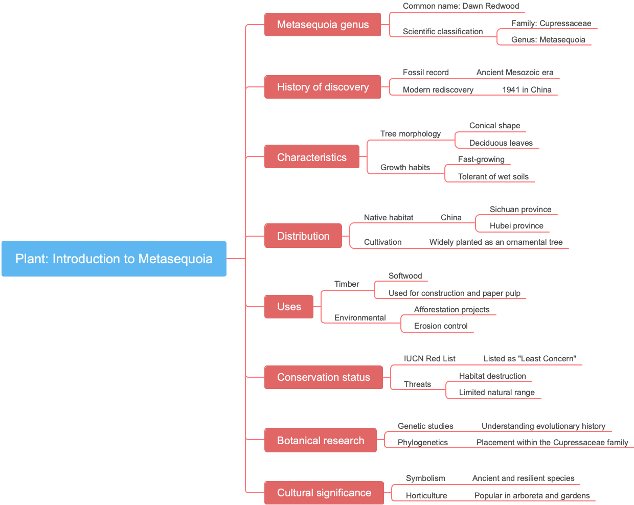 Plant: Introduction to Metasequoia