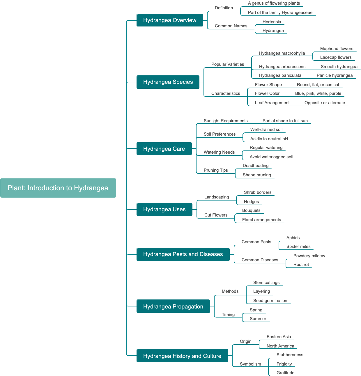 Plant: Introduction to Hydrangea
