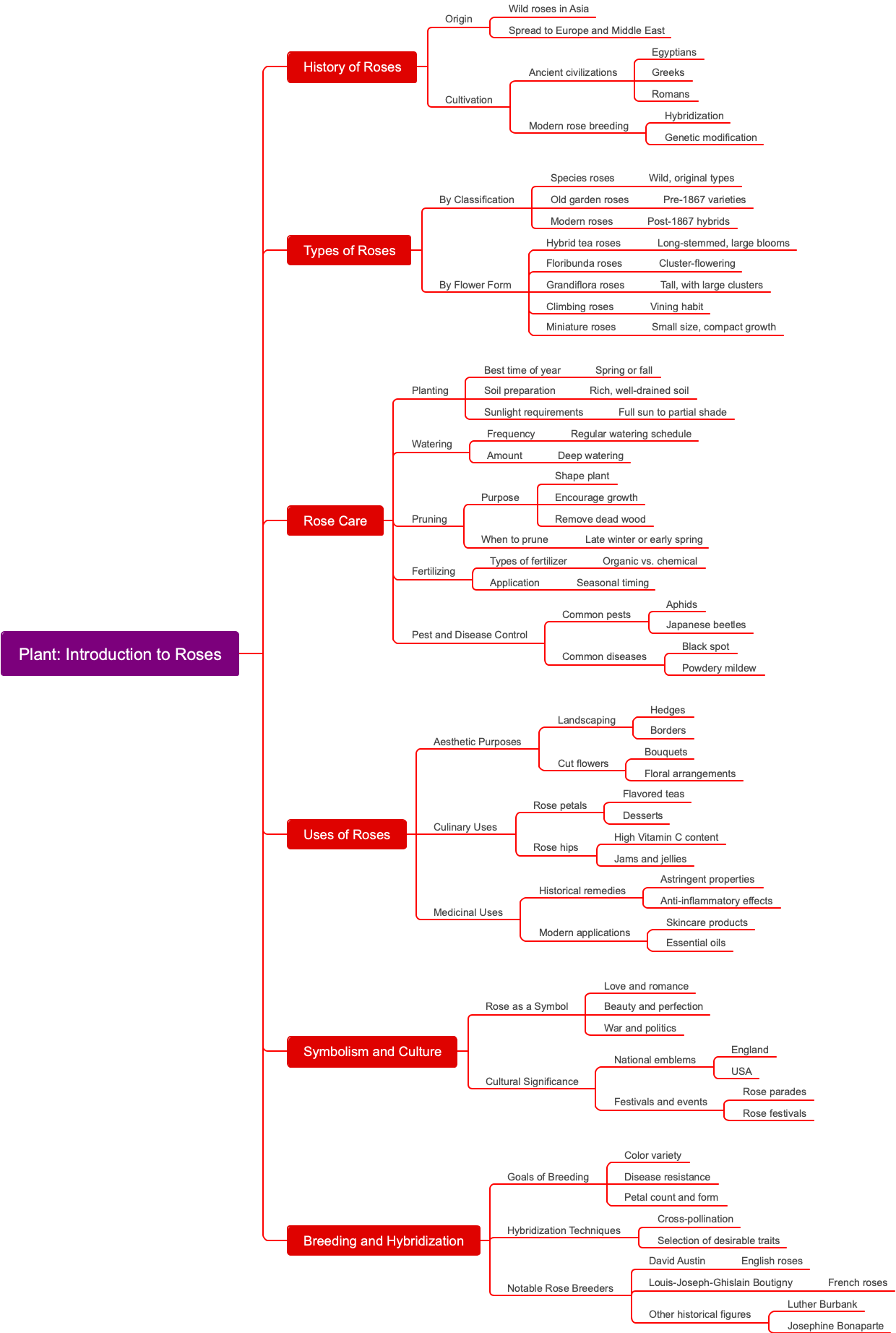 Plant: Introduction to Roses
