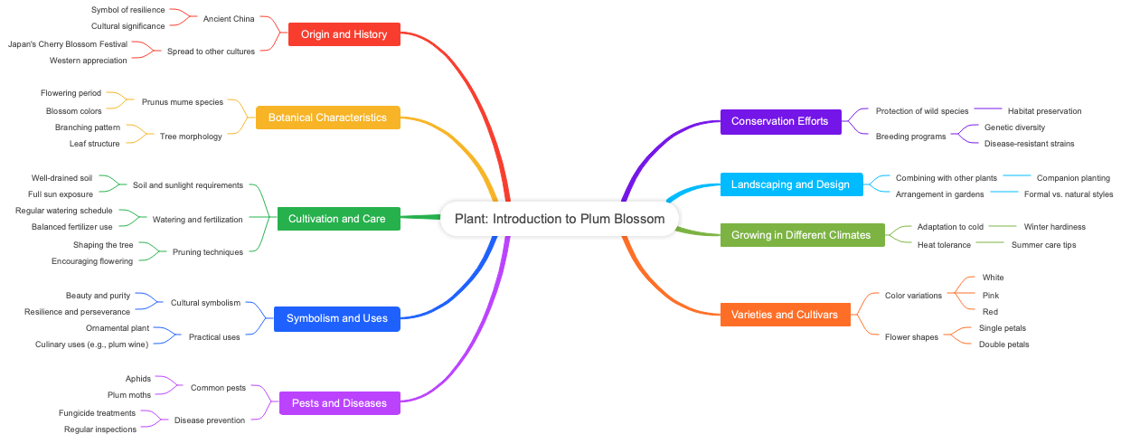 Plant: Introduction to Plum Blossom