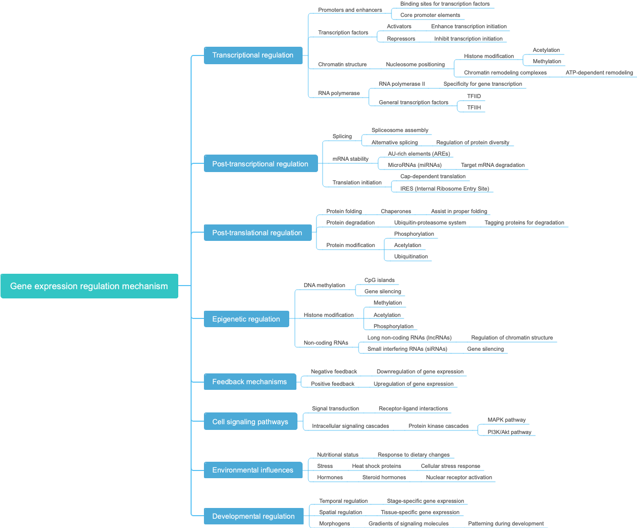 Gene expression regulation mechanism
