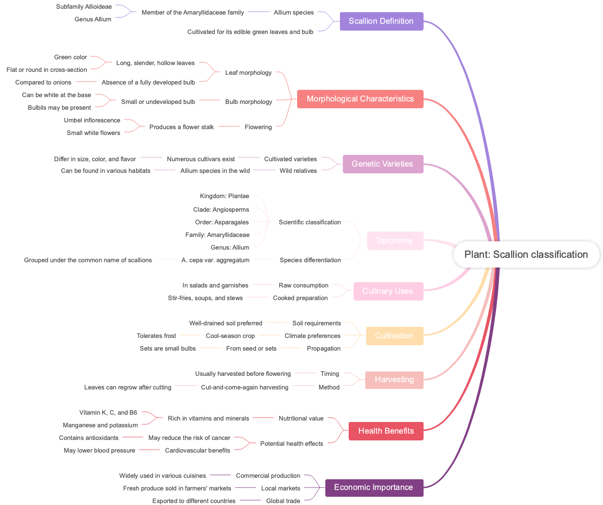 Plant: Scallion classification