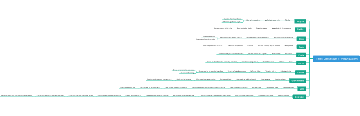 Plants: Classification of weeping willows