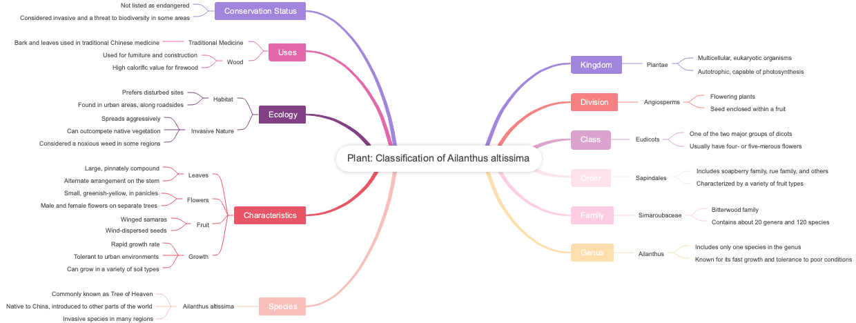 Plant: Classification of Ailanthus altissima