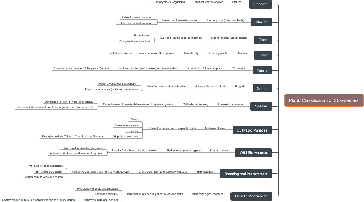 Plant: Classification of Strawberries