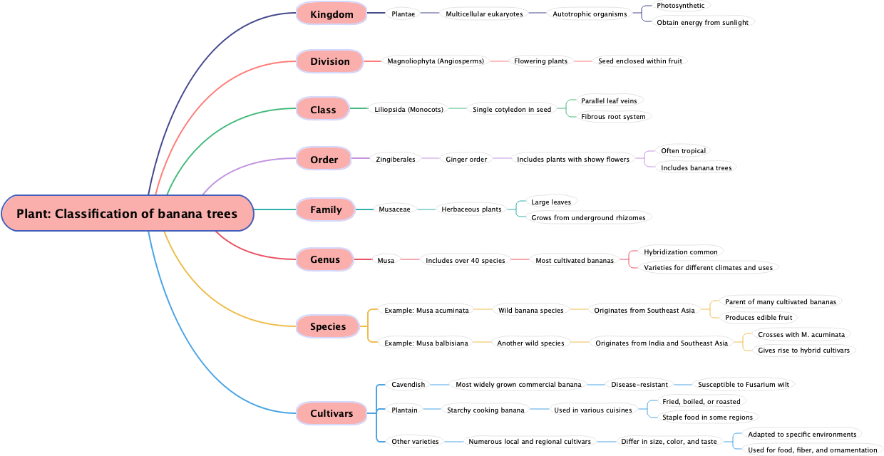Plant: Classification of banana trees