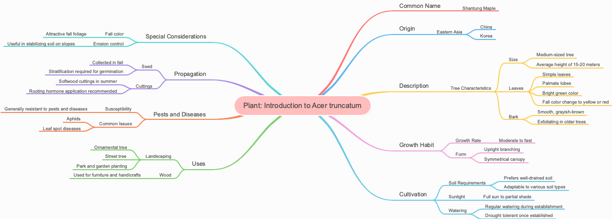 Plant: Introduction to Acer truncatum