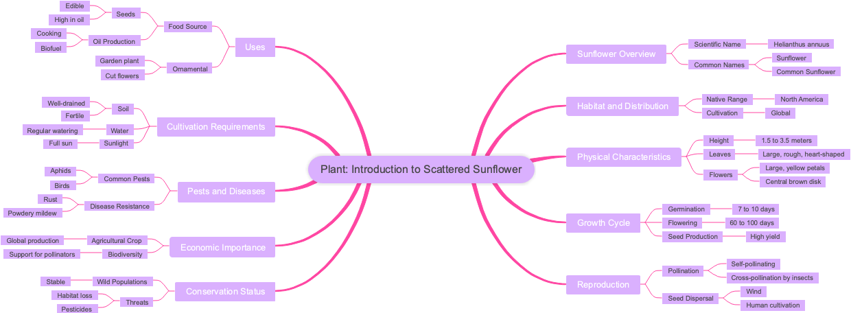 Plant: Introduction to Scattered Sunflower