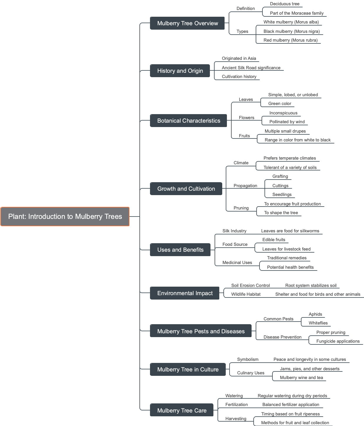 Plant: Introduction to Mulberry Trees