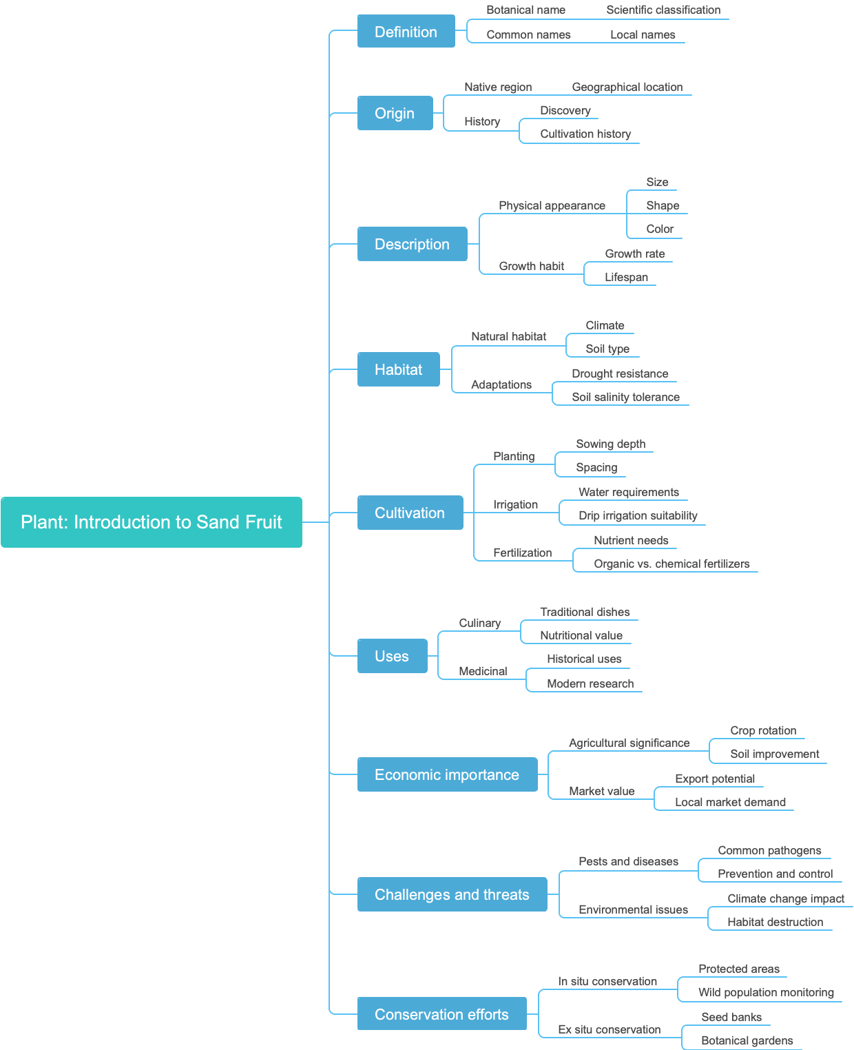 Plant: Introduction to Sand Fruit
