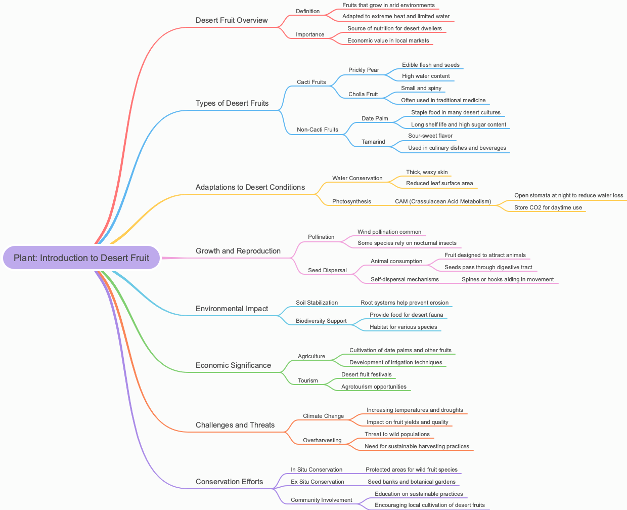 Plant: Introduction to Desert Fruit