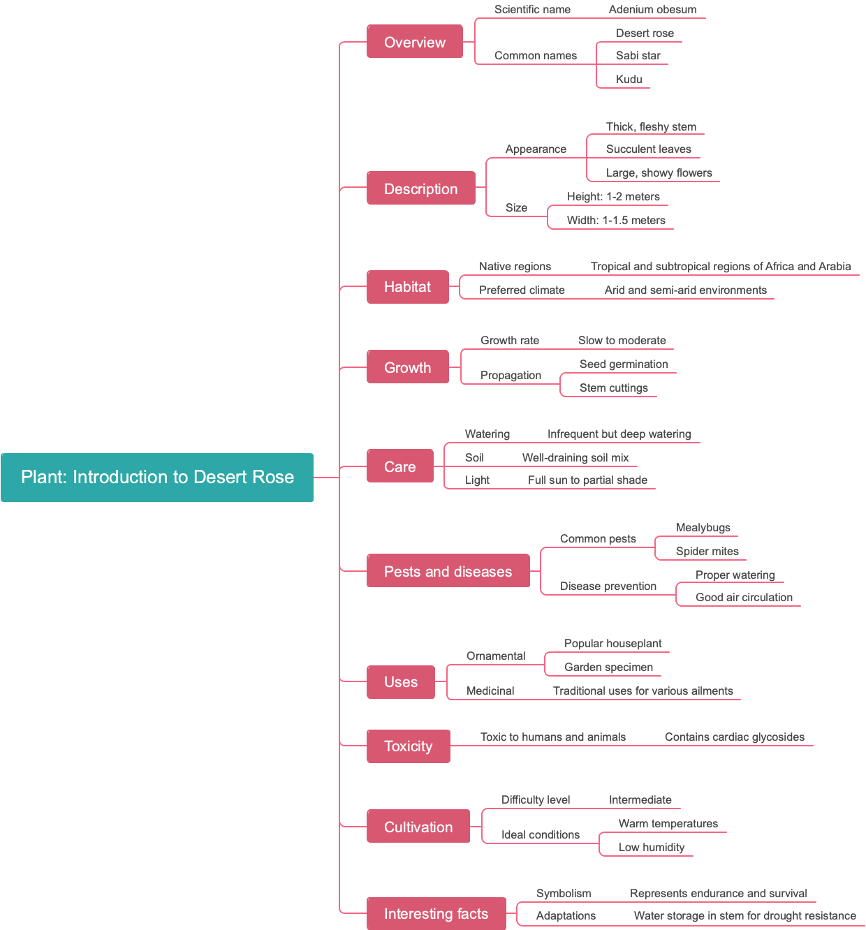 Plant: Introduction to Desert Rose
