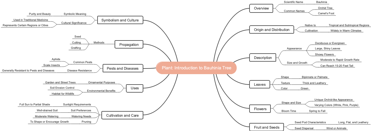 Plant: Introduction to Bauhinia Tree