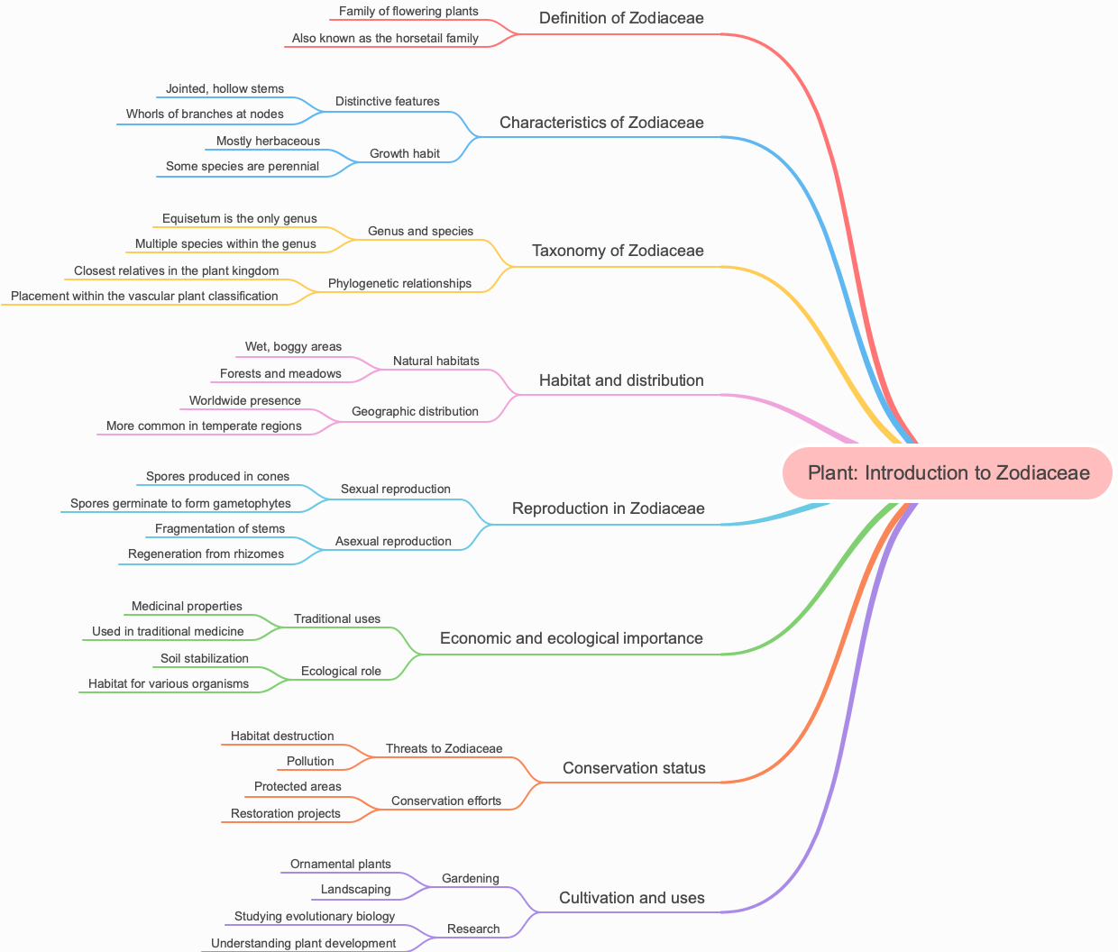 Plant: Introduction to Zodiaceae
