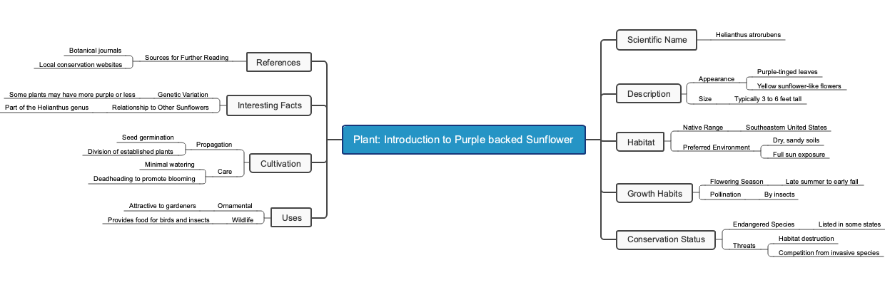 Plant: Introduction to Purple backed Sunflower