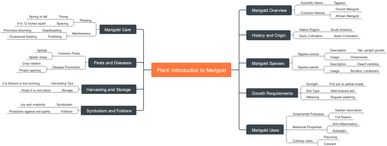 Plant: Introduction to Marigold