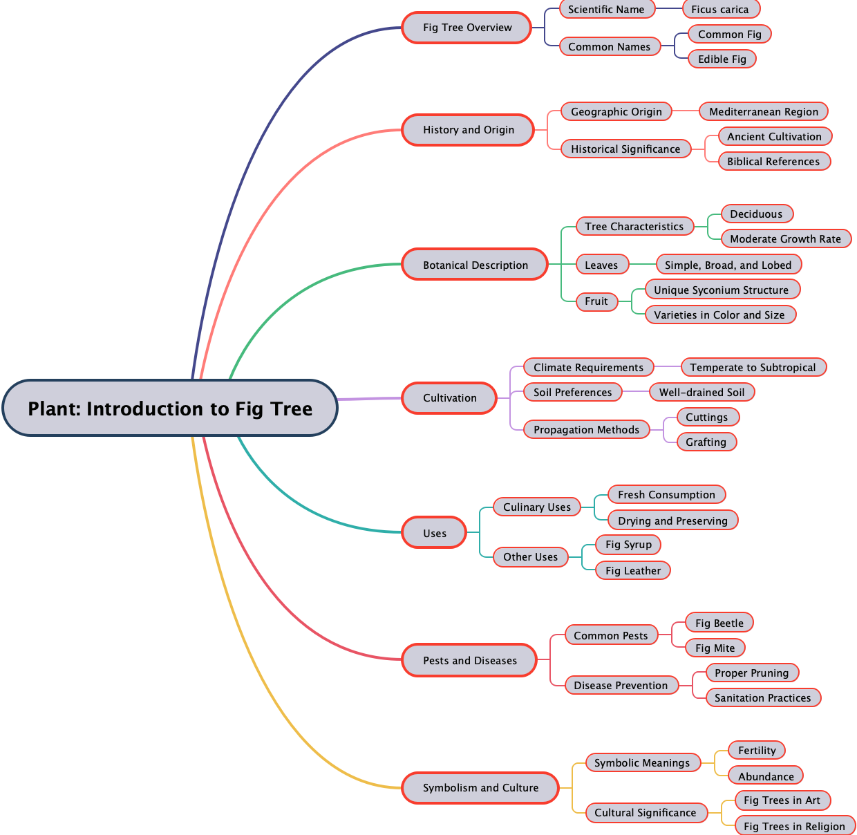 Plant: Introduction to Fig Tree
