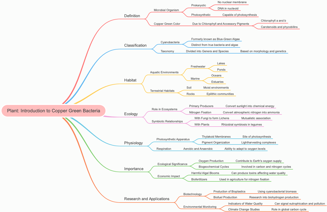 Plant: Introduction to Copper Green Bacteria