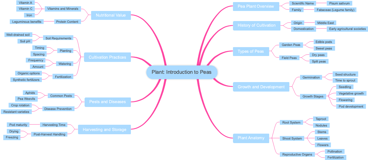 Plant: Introduction to Peas