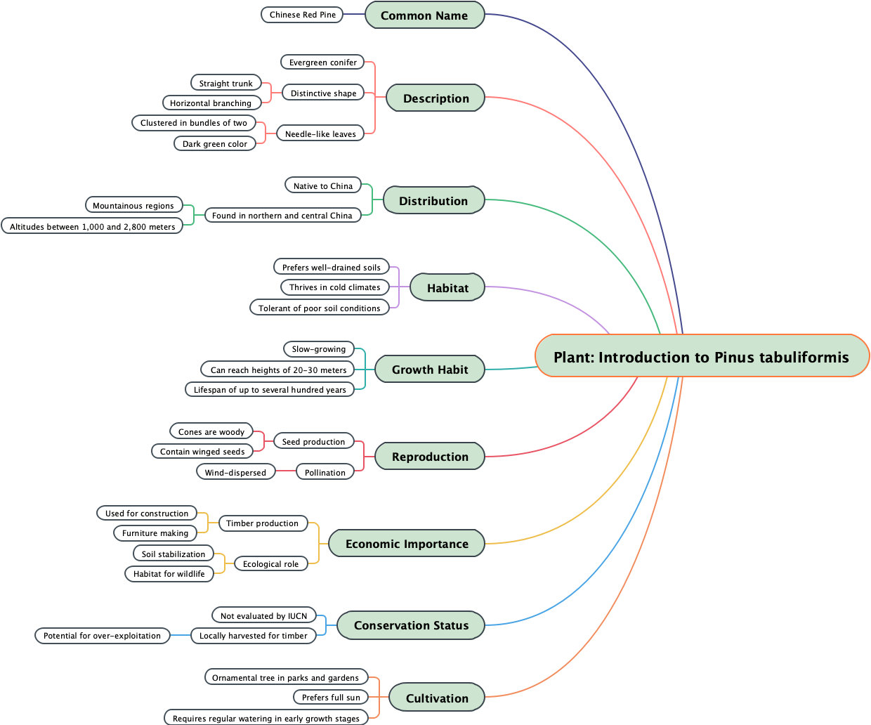 Plant: Introduction to Pinus tabuliformis