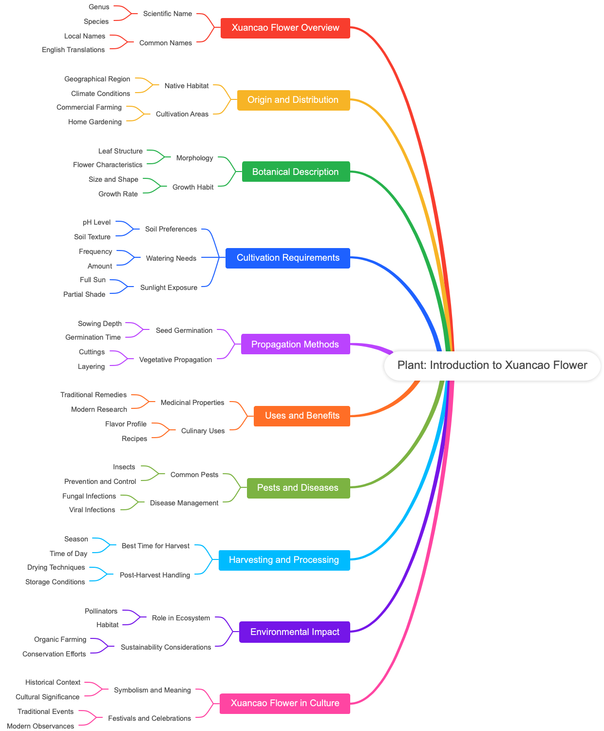 Plant: Introduction to Xuancao Flower