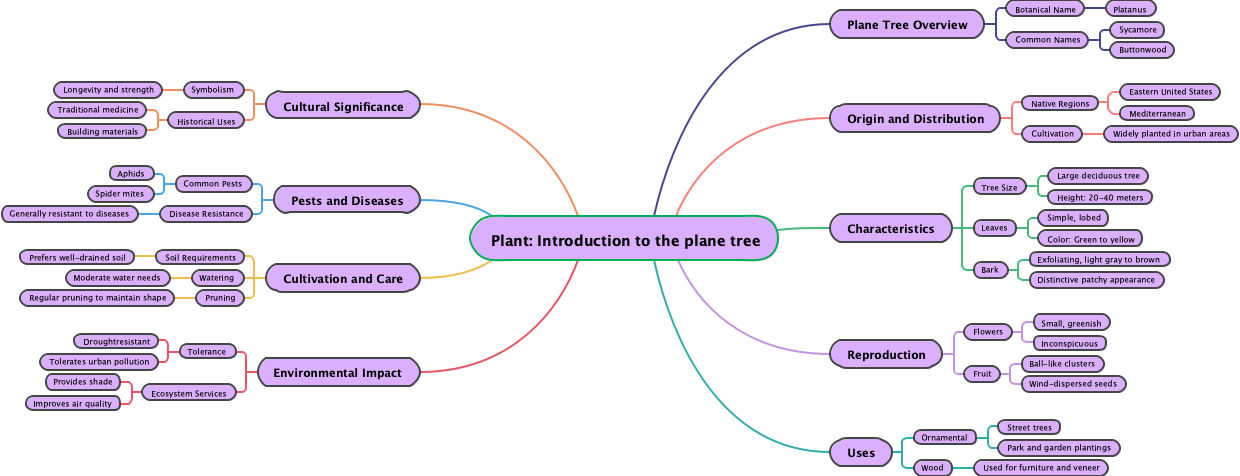 Plant: Introduction to the plane tree