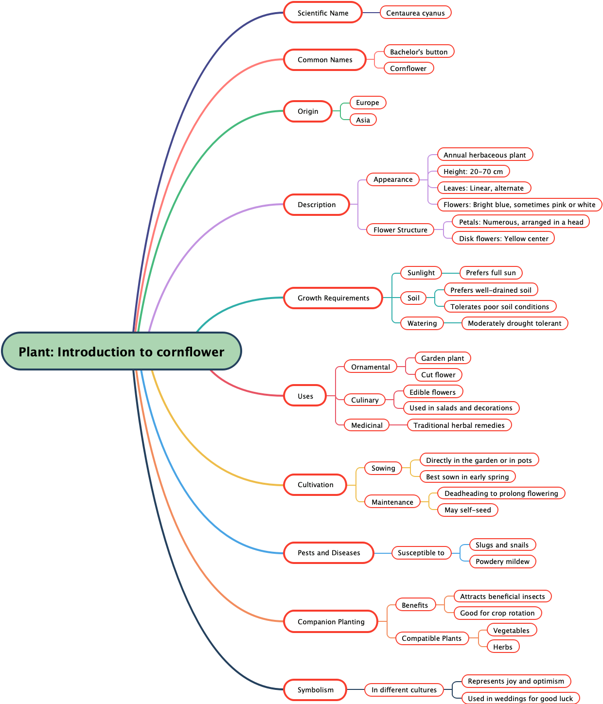 Plant: Introduction to cornflower