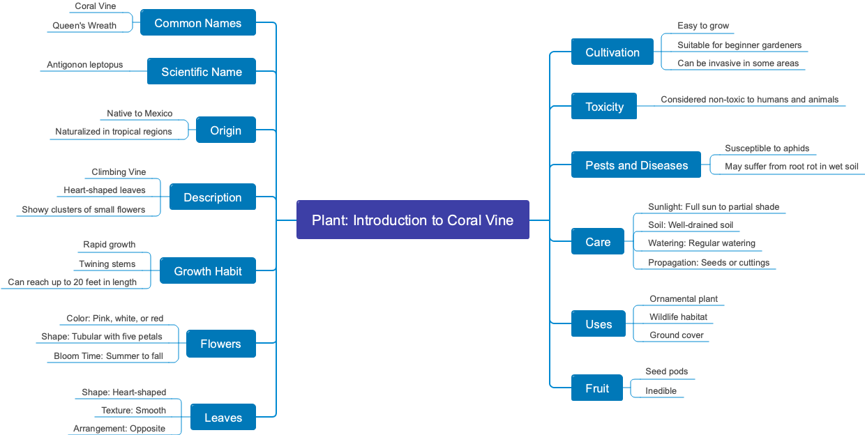 Plant: Introduction to Coral Vine