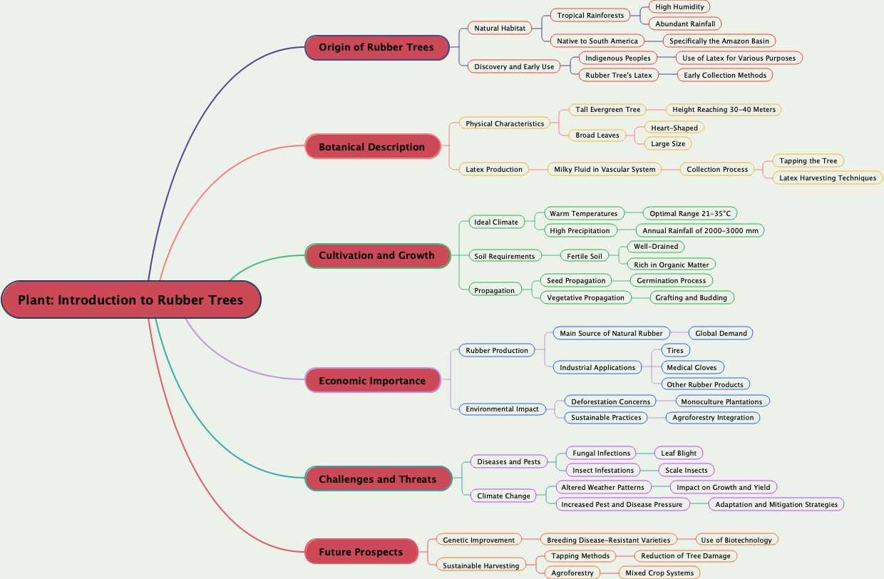 Plant: Introduction to Rubber Trees