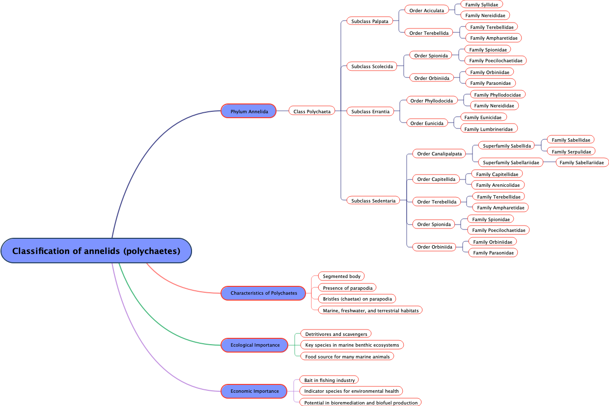 Classification of annelids (polychaetes)