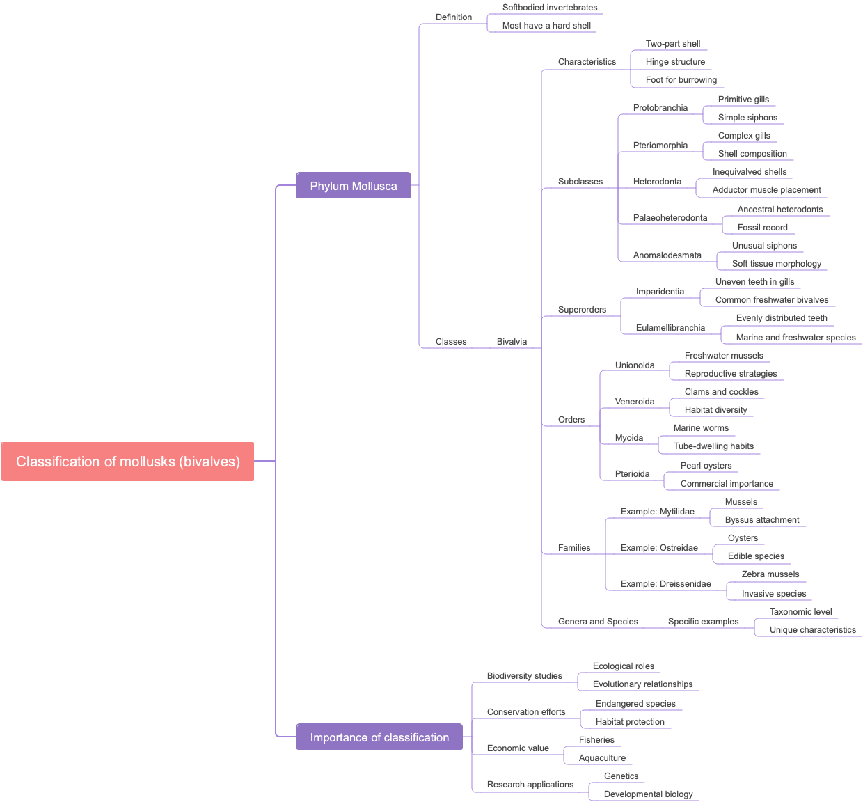 Classification of mollusks (bivalves)