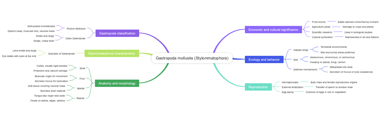 Gastropoda mollusks (Stylommatophora)