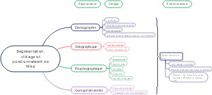 Segmentation, ciblage et positionnement de Nike