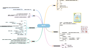 라인&선 관련 정보 정리