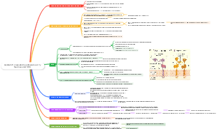 Capitulo 6: presentación antigénica a LT y funciones del MHC 